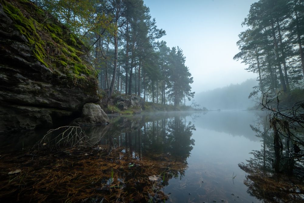 Фотография автора Жданов Дмитрий