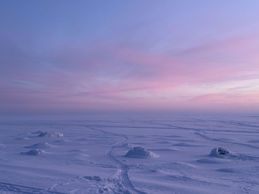 Photograph by Бондаренко Светлана