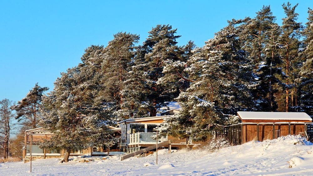 Фотография автора Галина Швыркова