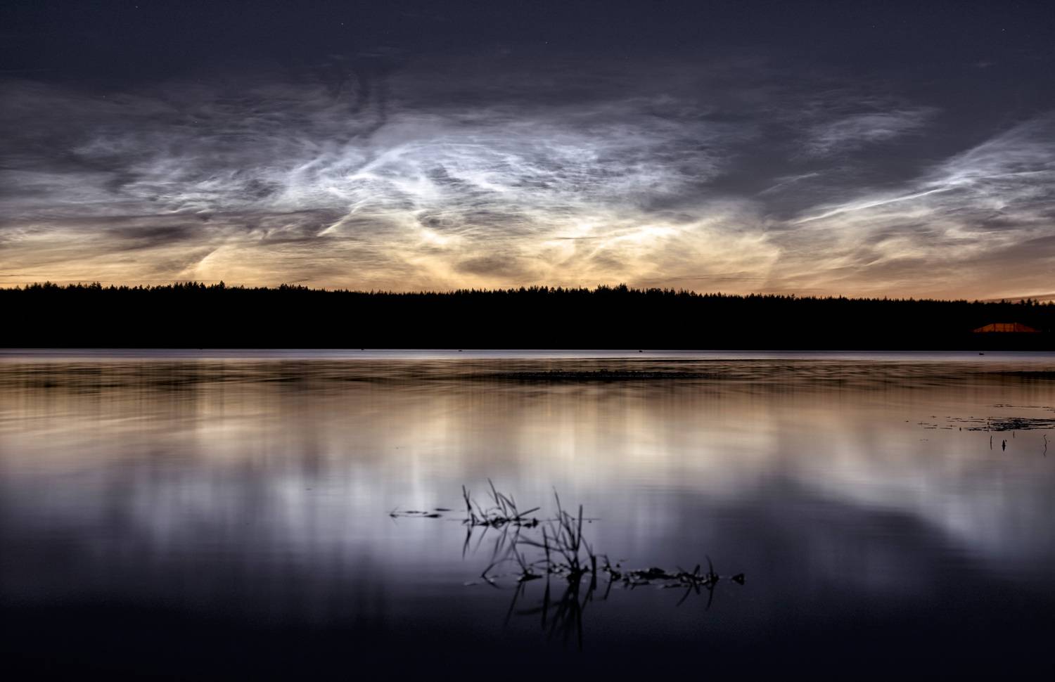 Photo #13137780