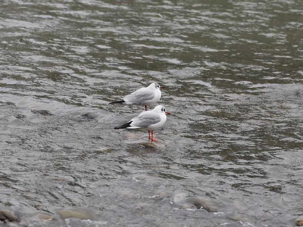 Фотография автора Андрей Груцинов