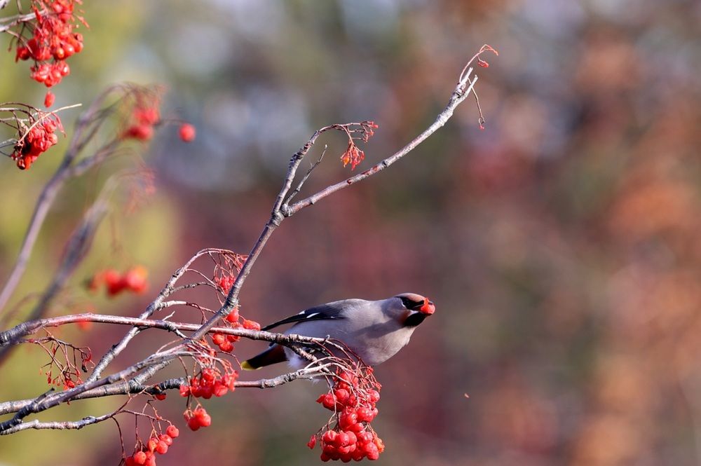Photograph by Сергей Хитра