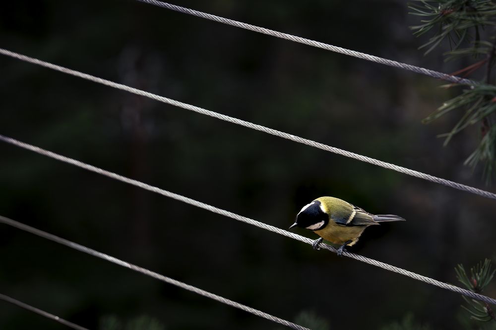 Photograph by Полина Кузнецова