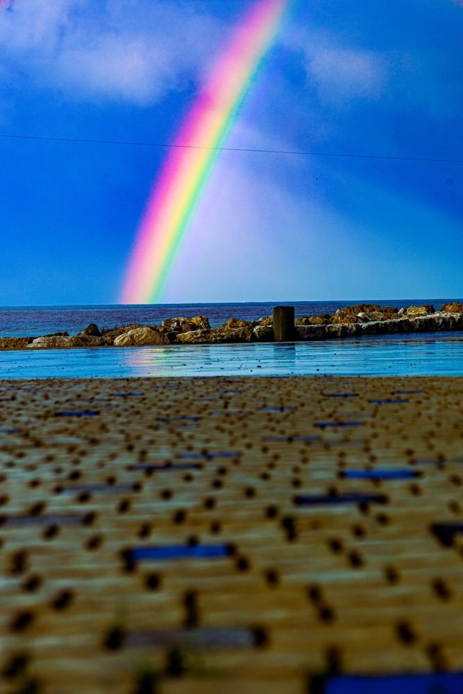 Photograph by Sharone