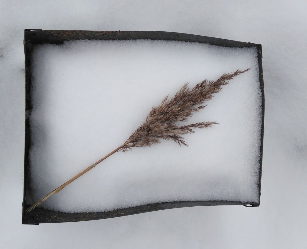 Photograph by Владимир Малёшин