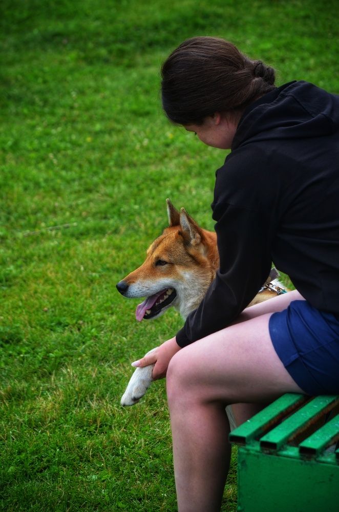 Photograph by Алена Самошина