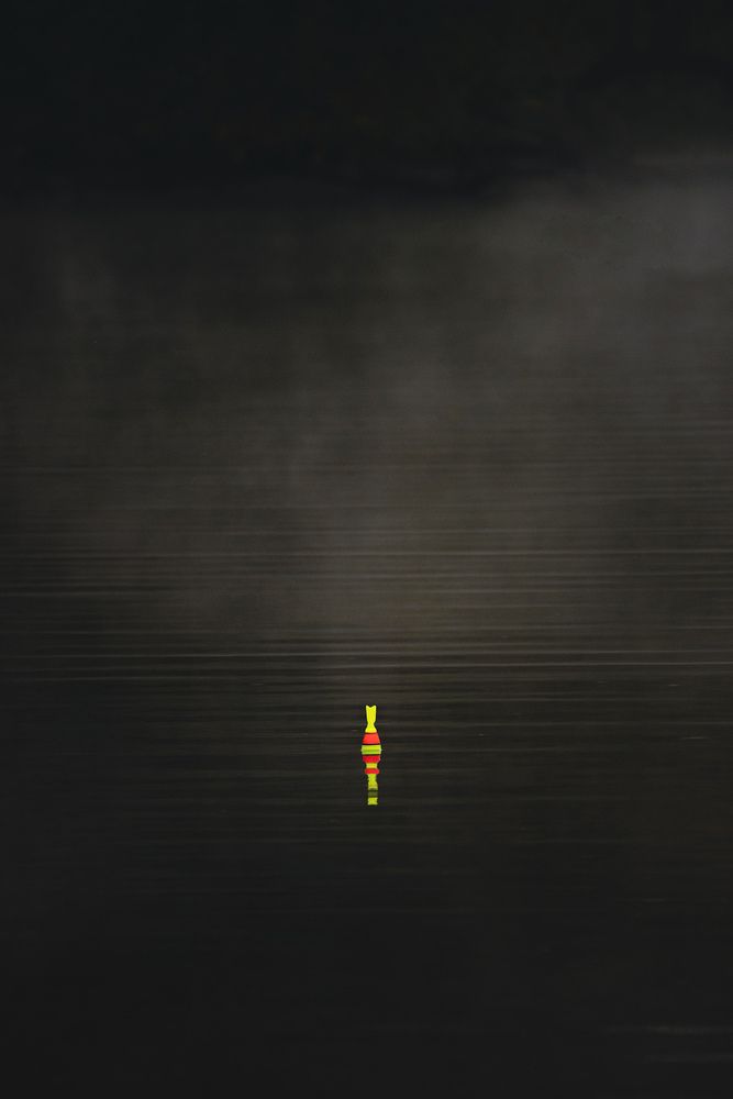 Фотография автора Коцюрба Татьяна