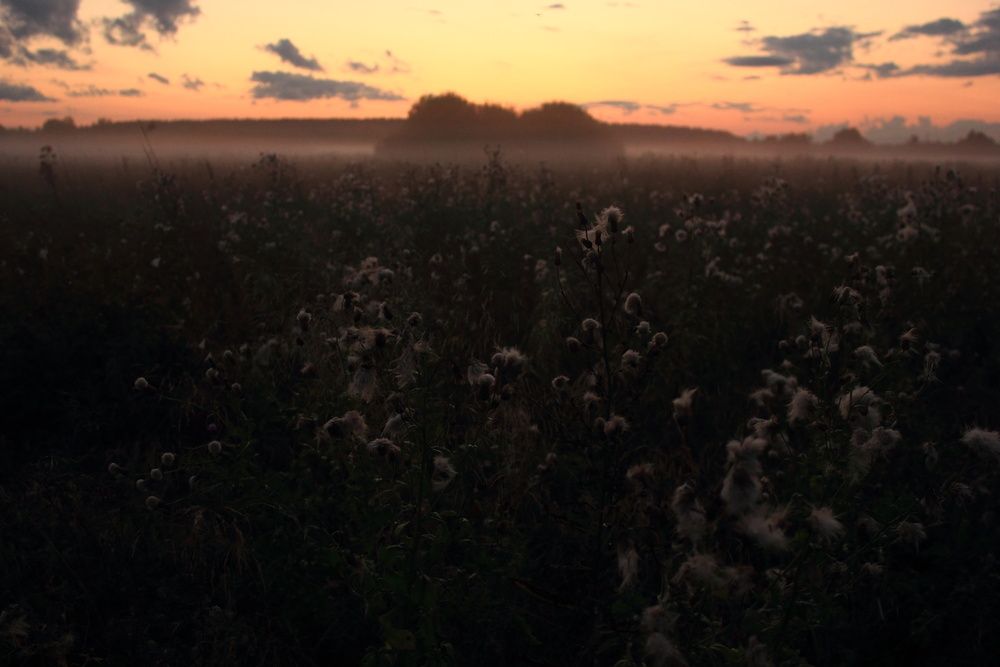 Photograph by Денис Косарев