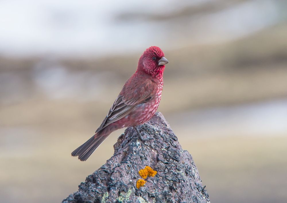 Photograph by Хасан Журтов