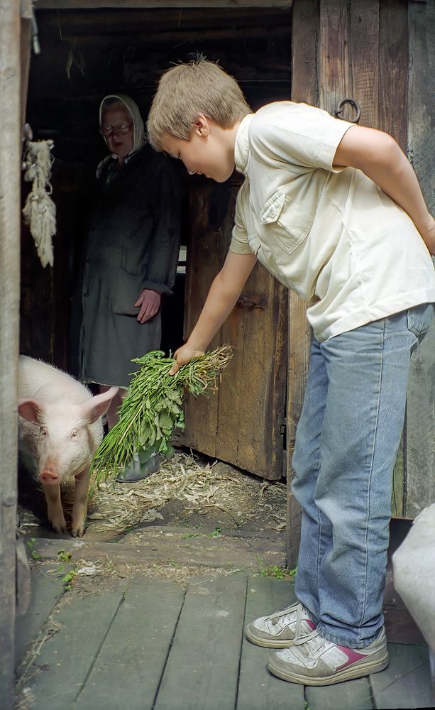 Photograph by Алексей Козлов