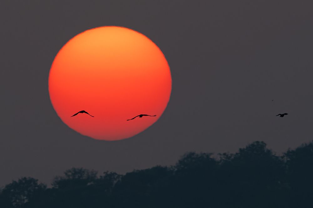 Photograph by Slutskiy Nikolay