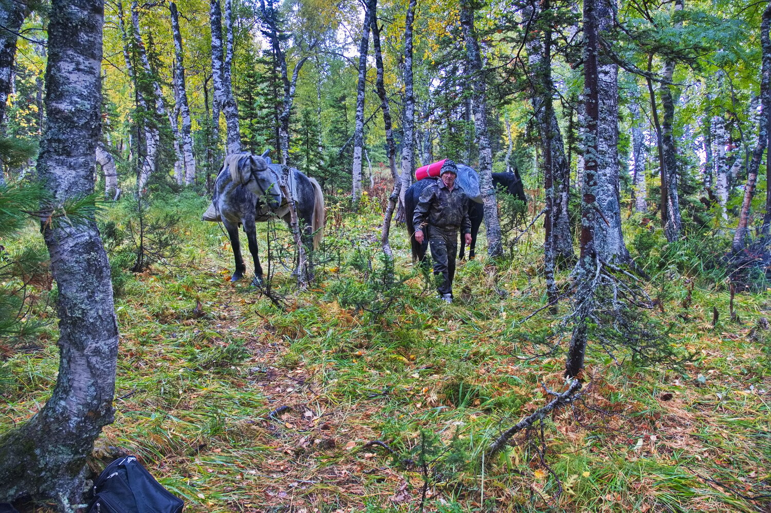 Photo #13138138