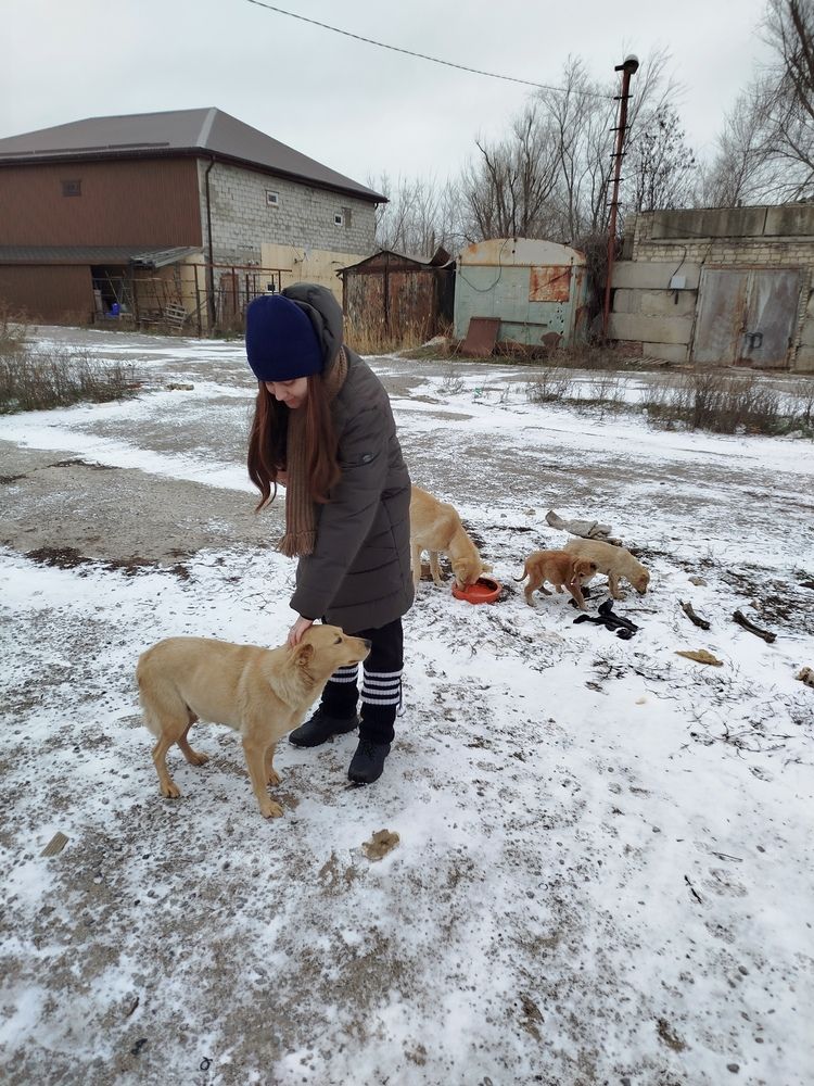 Photograph by Елизавета Слесарева