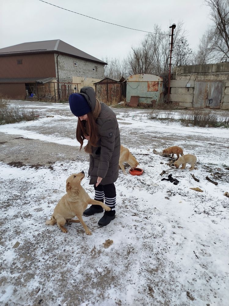 Photograph by Елизавета Слесарева
