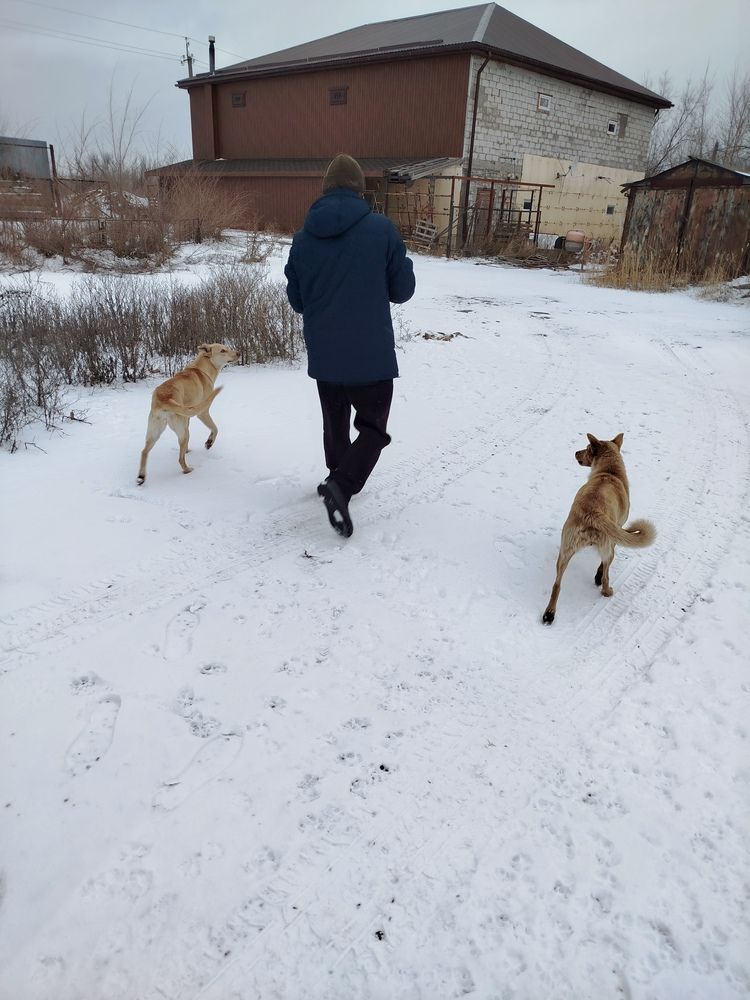 Photograph by Елизавета Слесарева