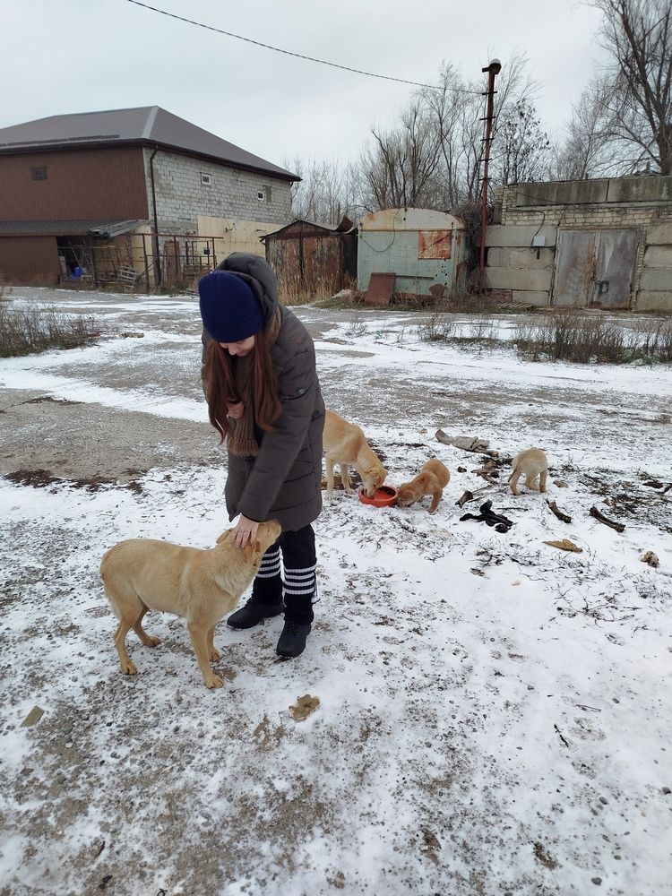 Photograph by Елизавета Слесарева