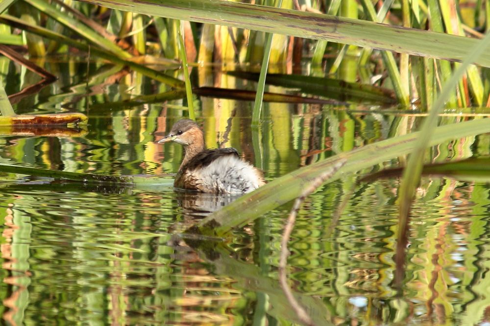 Photograph by Оксана Малахова