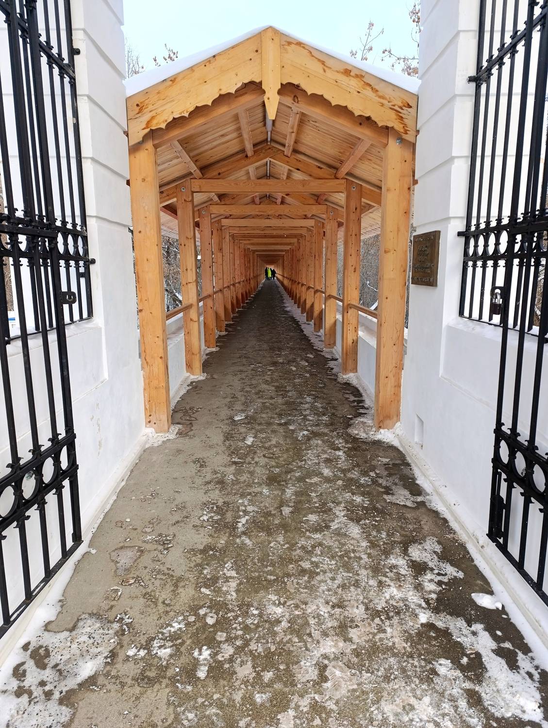 Фотография #13138196