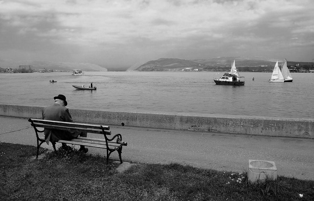 Photo #13138208