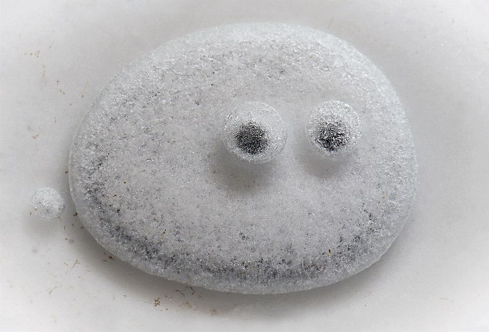 Фотография автора Е лена Е