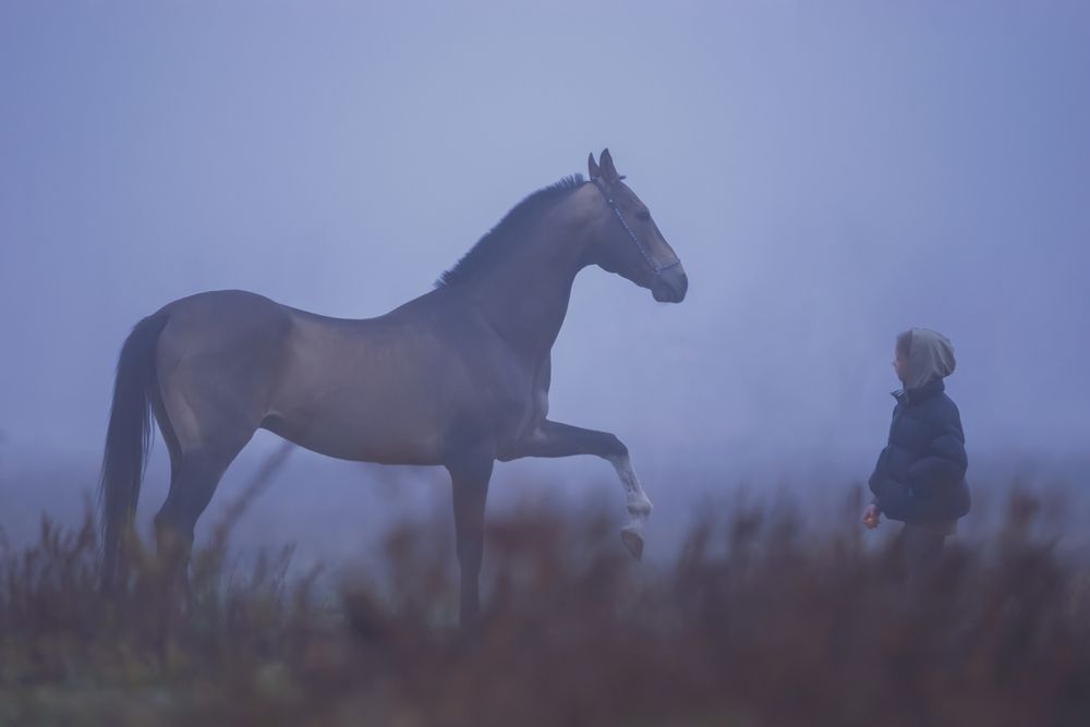 Photograph by Макари Лия