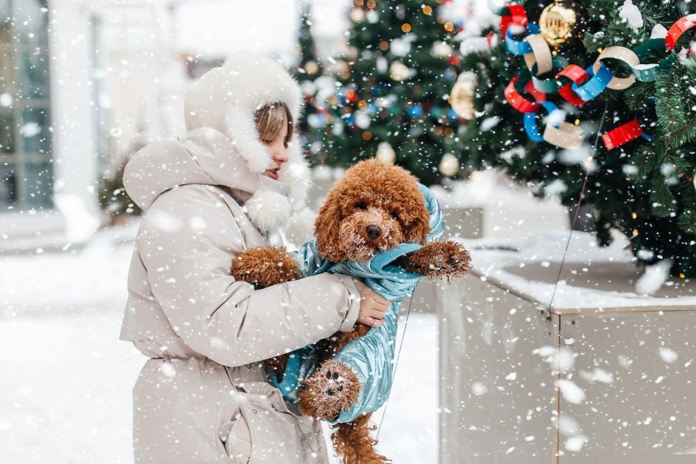 Photograph by Анна Казьмина