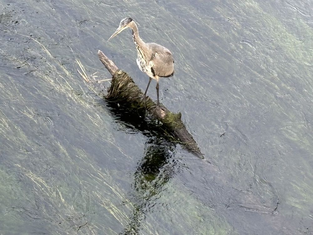 Фотография автора Zora Lilia