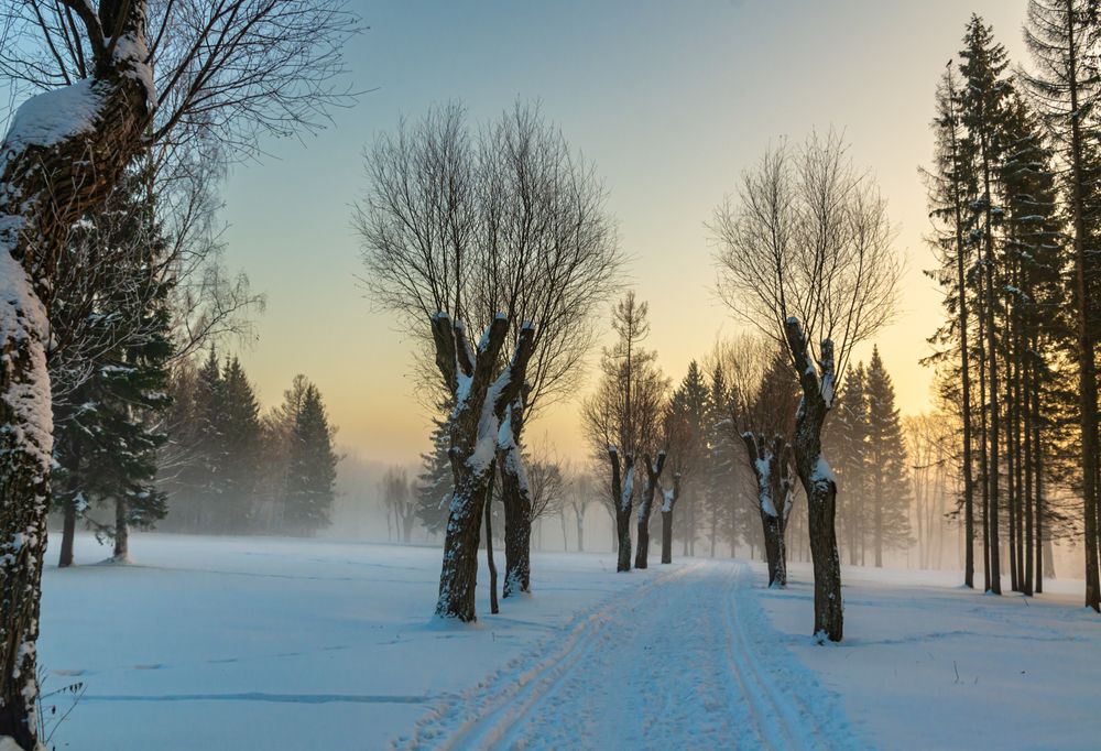 Photograph by Gennadiy Slezkin