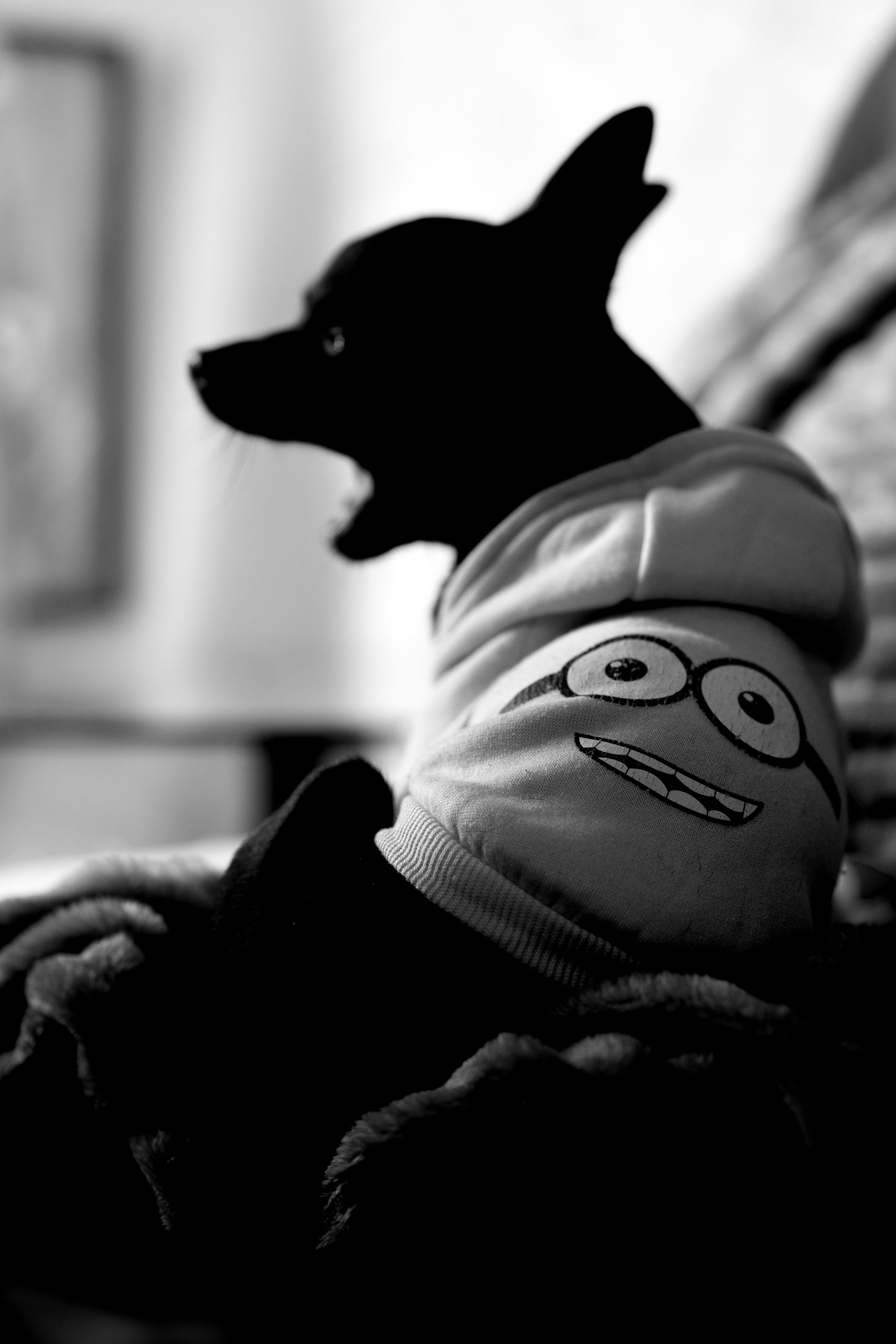 Photograph by Елена Тестова