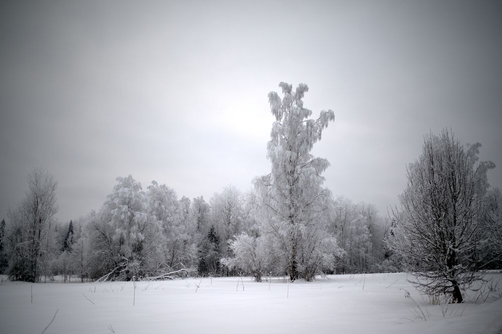 Photograph by Шеремет Олег