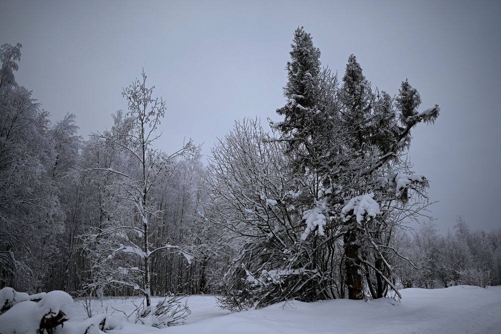 Photograph by Шеремет Олег