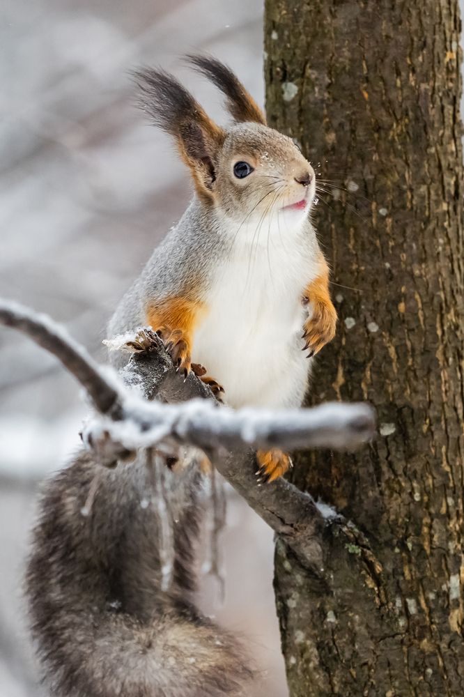 Photograph by Ермилова Арина