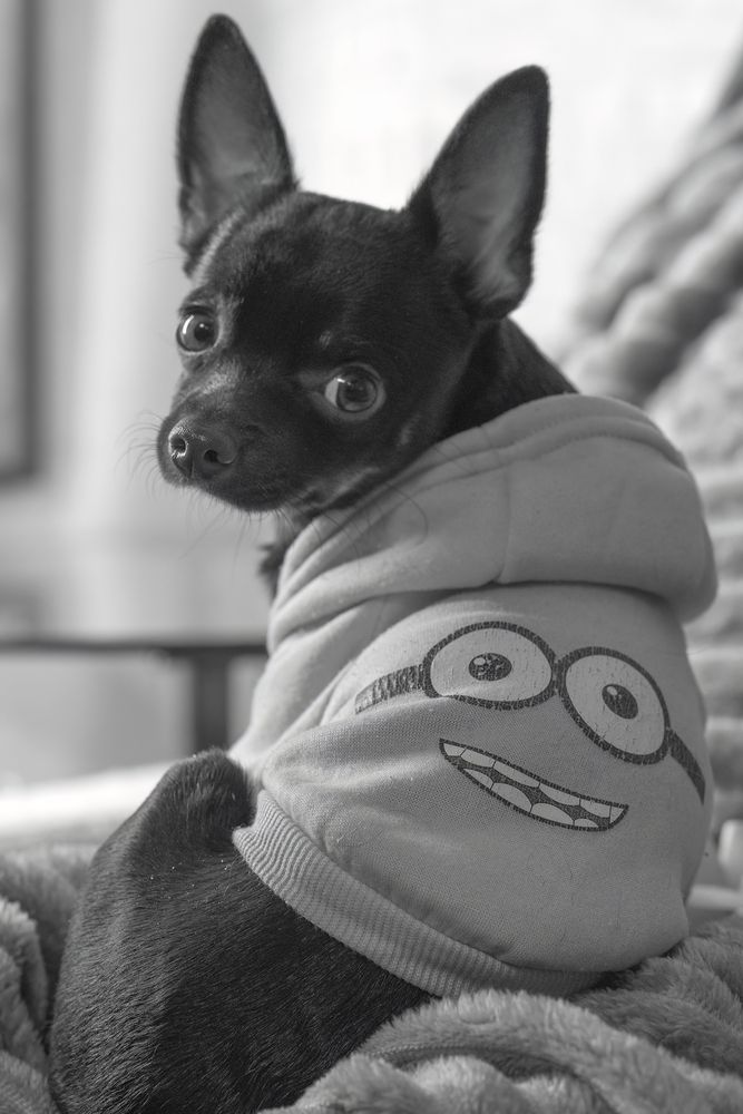 Photograph by Елена Тестова