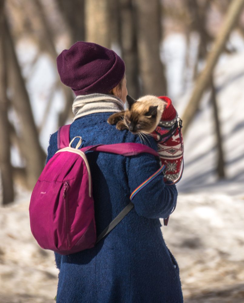 Photograph by Елена Гольдебаева
