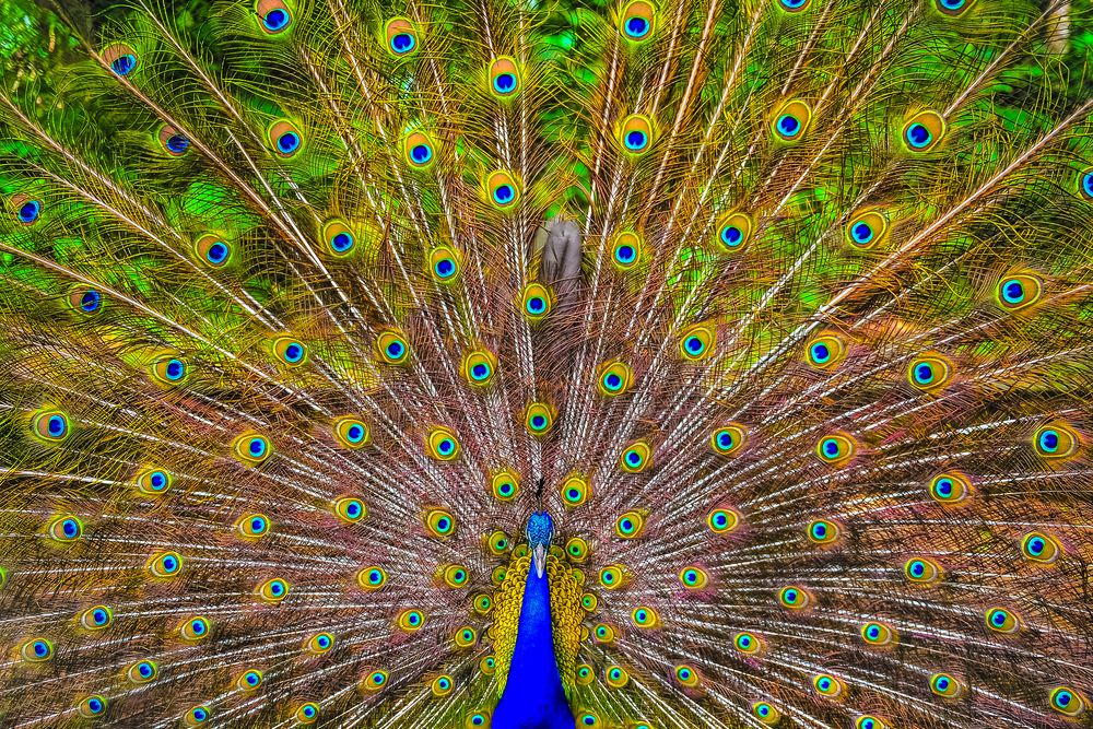 Фотография автора Анастасия Лившиц