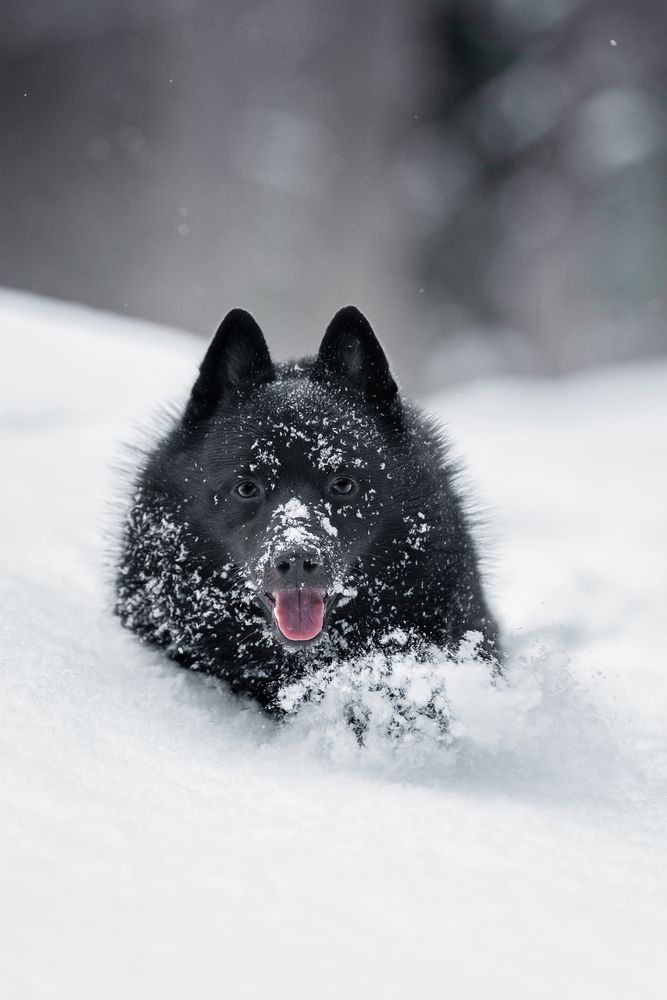 Photograph by Olga Shmeleva