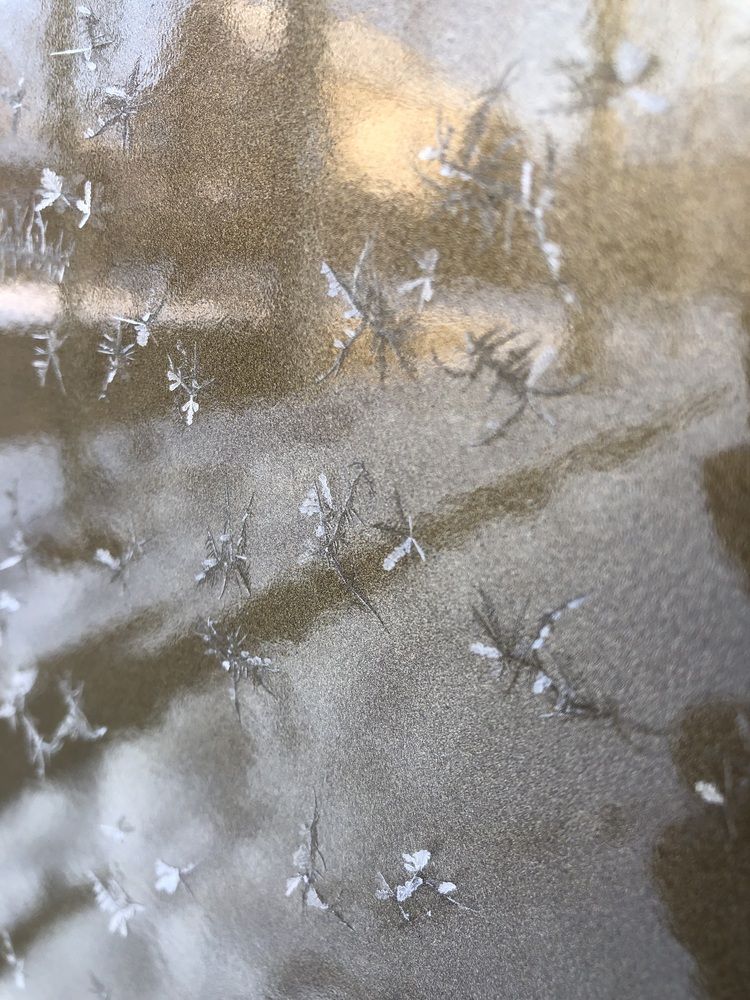 Photograph by Кристина Хавронова