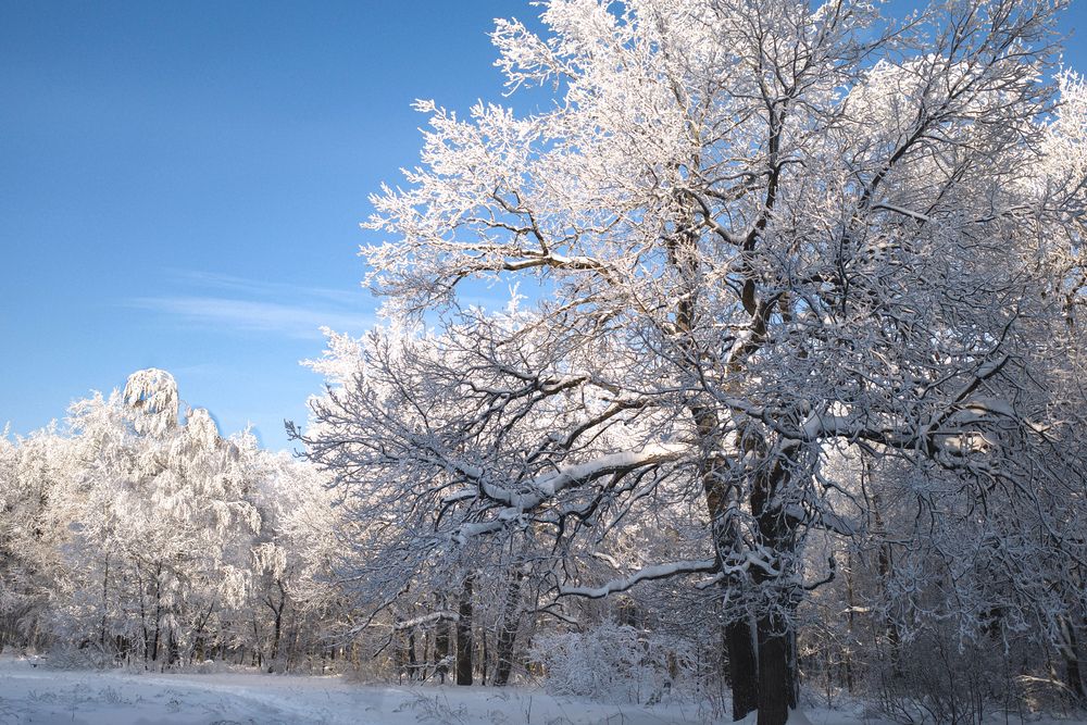 Photograph by Алла Никушкина