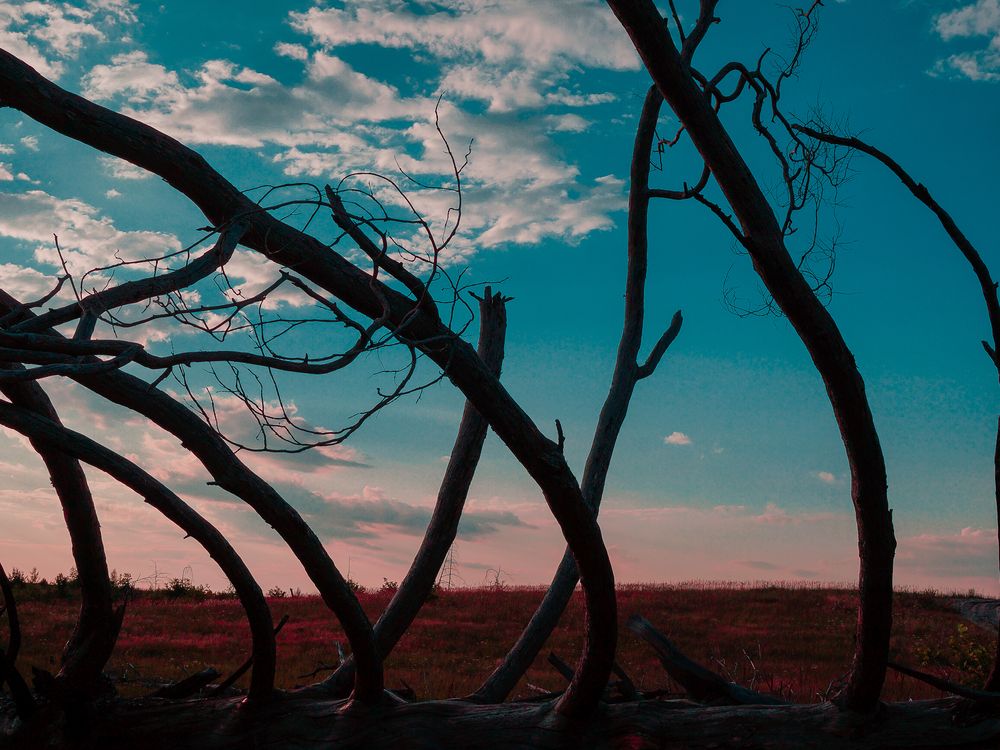 Photograph by София Стрыгина