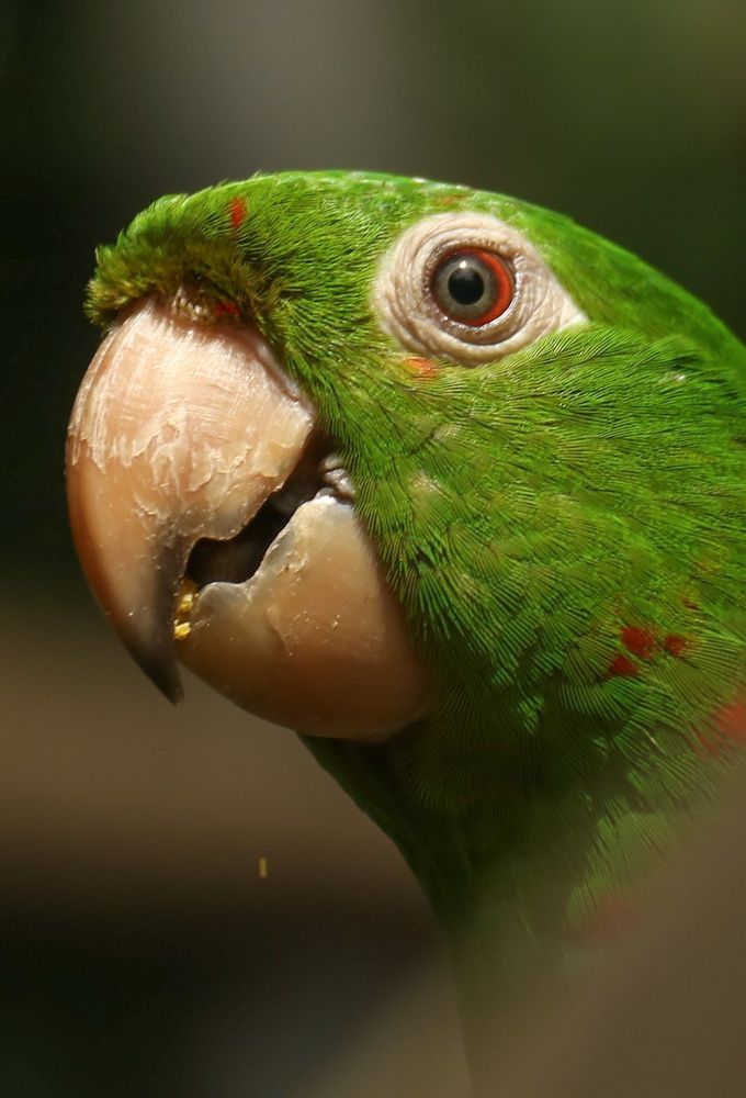 Photograph by Fabiano Manhães