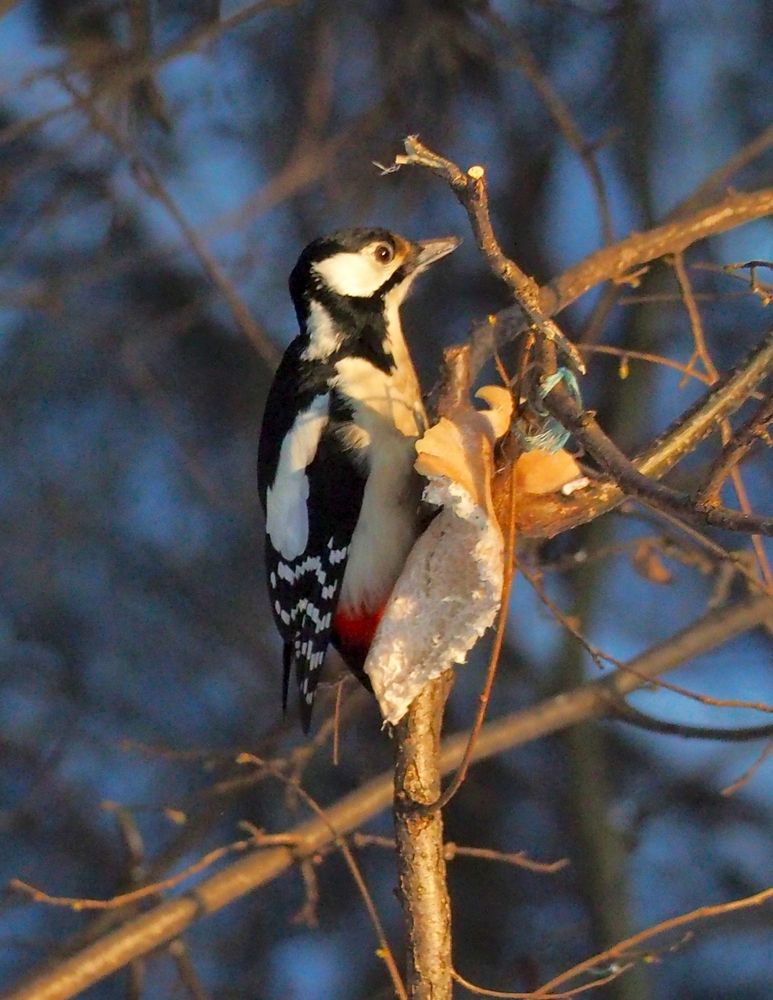 Photograph by Svetlana Aleks