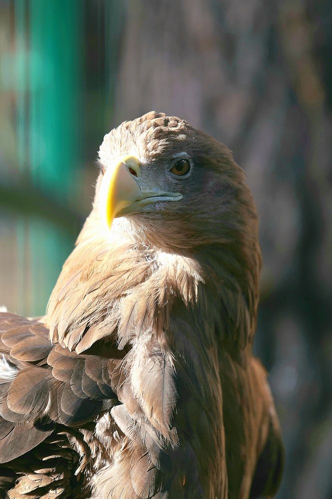 Photograph by Сергей Хитра