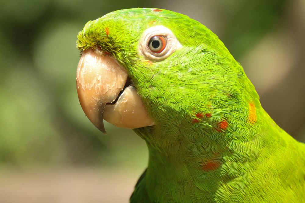 Photograph by Fabiano Manhães