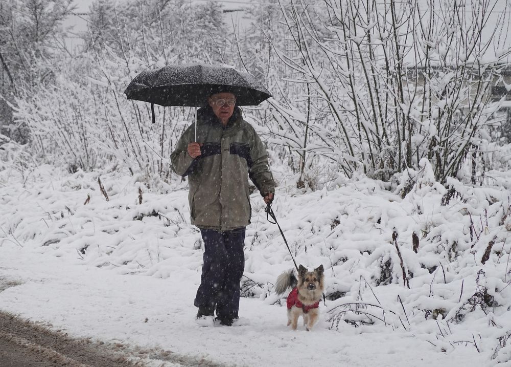 Photograph by Ионова Татьяна