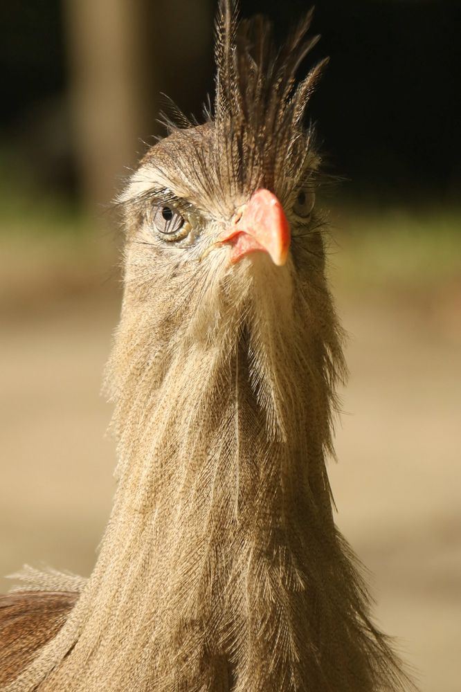 Photograph by Fabiano Manhães