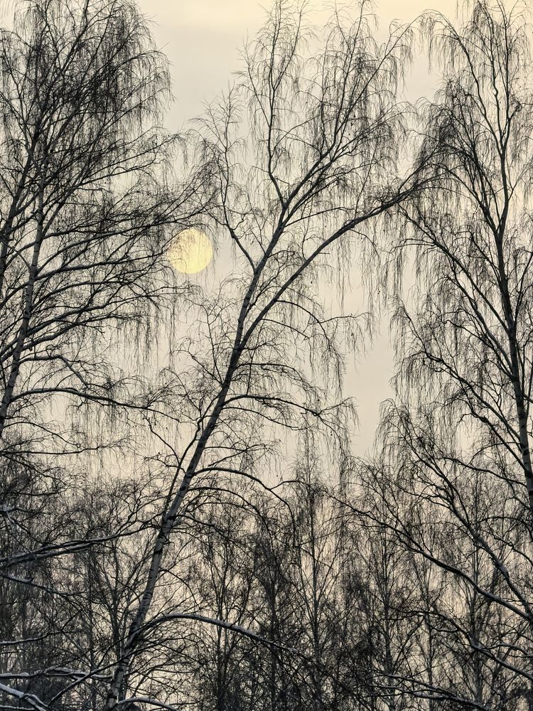 Фотография автора Елена Охапкина