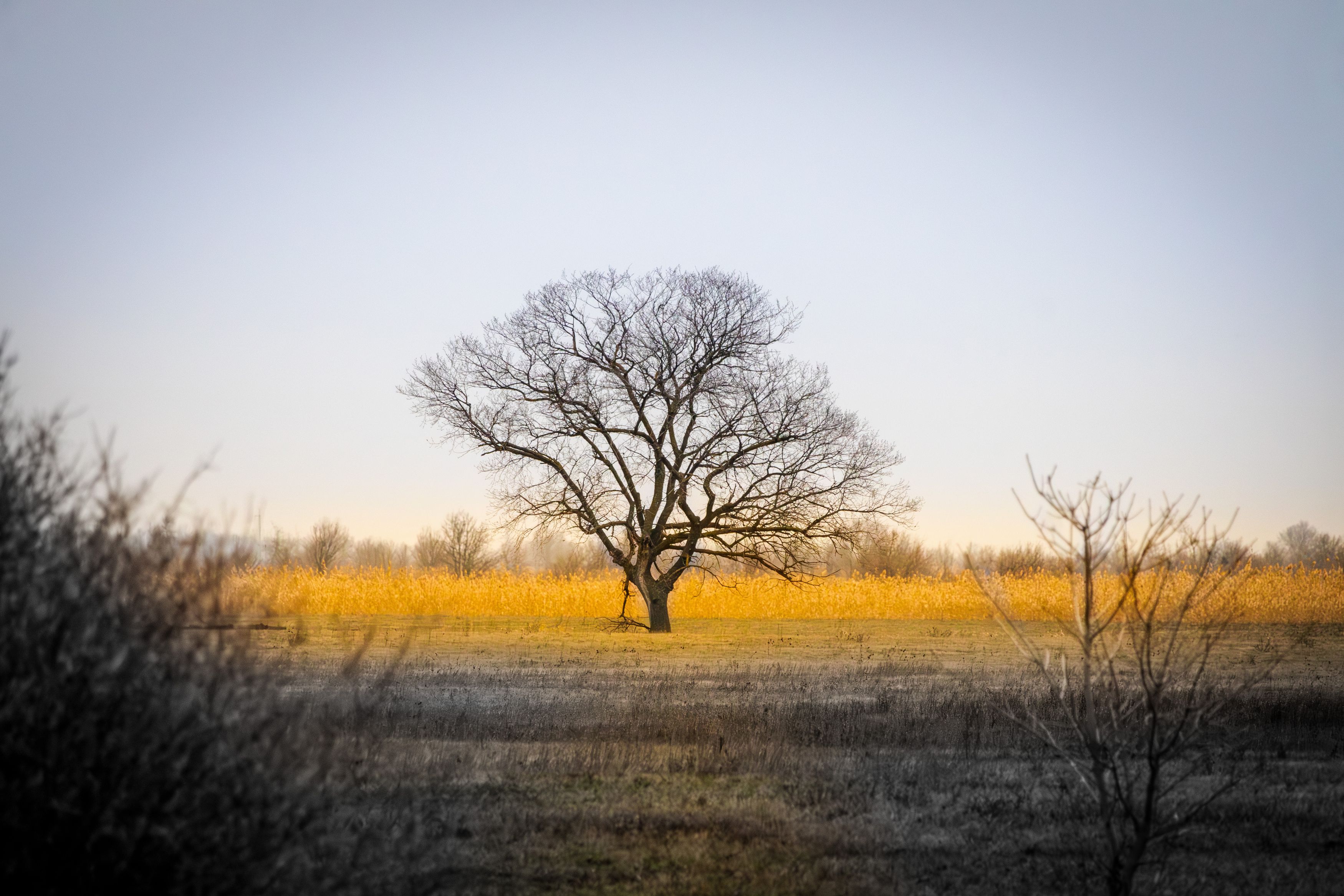 Photograph by Денис Лобов
