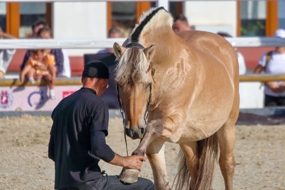 Photograph by Светлана Долотова
