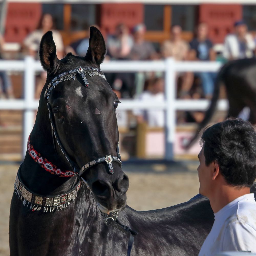 Photograph by Светлана Долотова