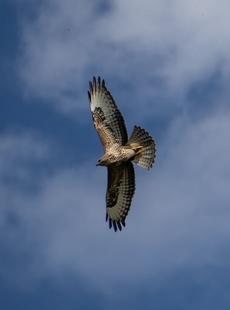 Photograph by Илья Антипов